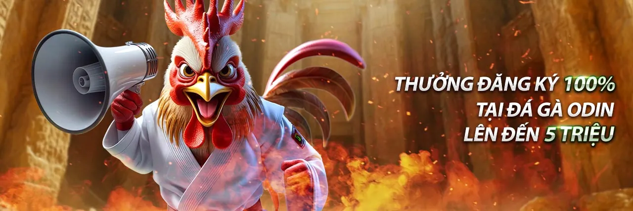 Banner khuyến mãi hấp dẫn từ đá gà trực tiếp trên